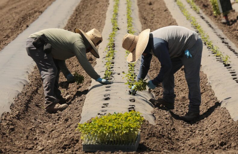 spring planting progress