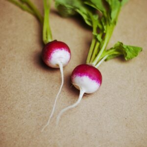 100 Sparkler White Tip Non GMO Radish Seeds