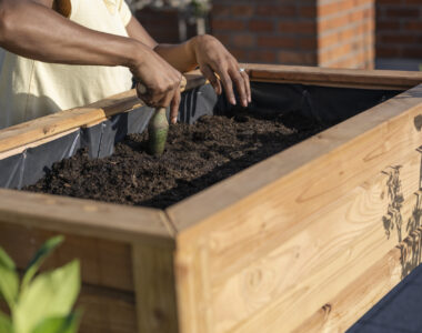 raised bed planting