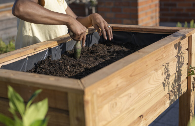 raised bed planting