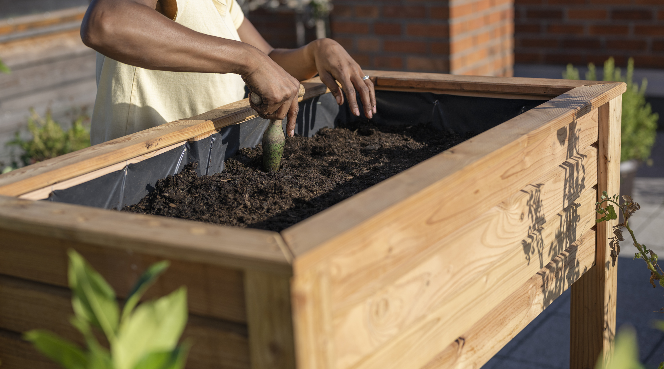 raised bed planting