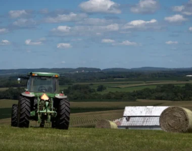 farm bankruptcies