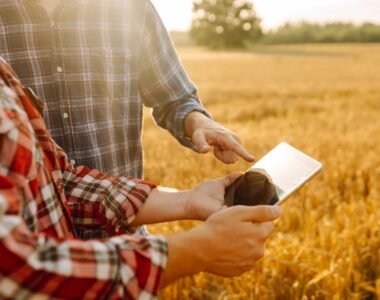 AI in agriculture