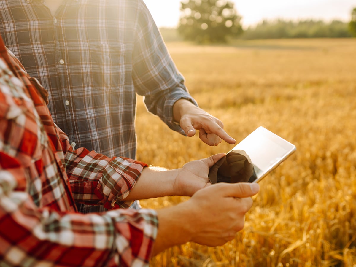 AI in agriculture