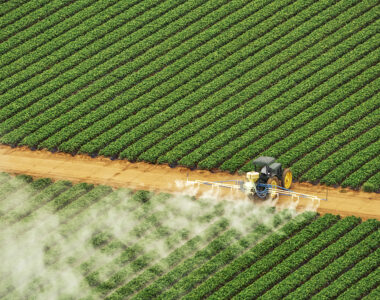fertilizer prices