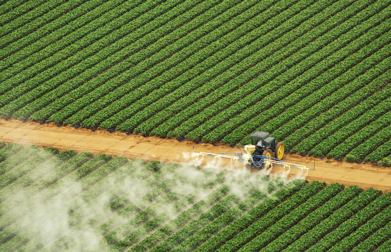 fertilizer prices