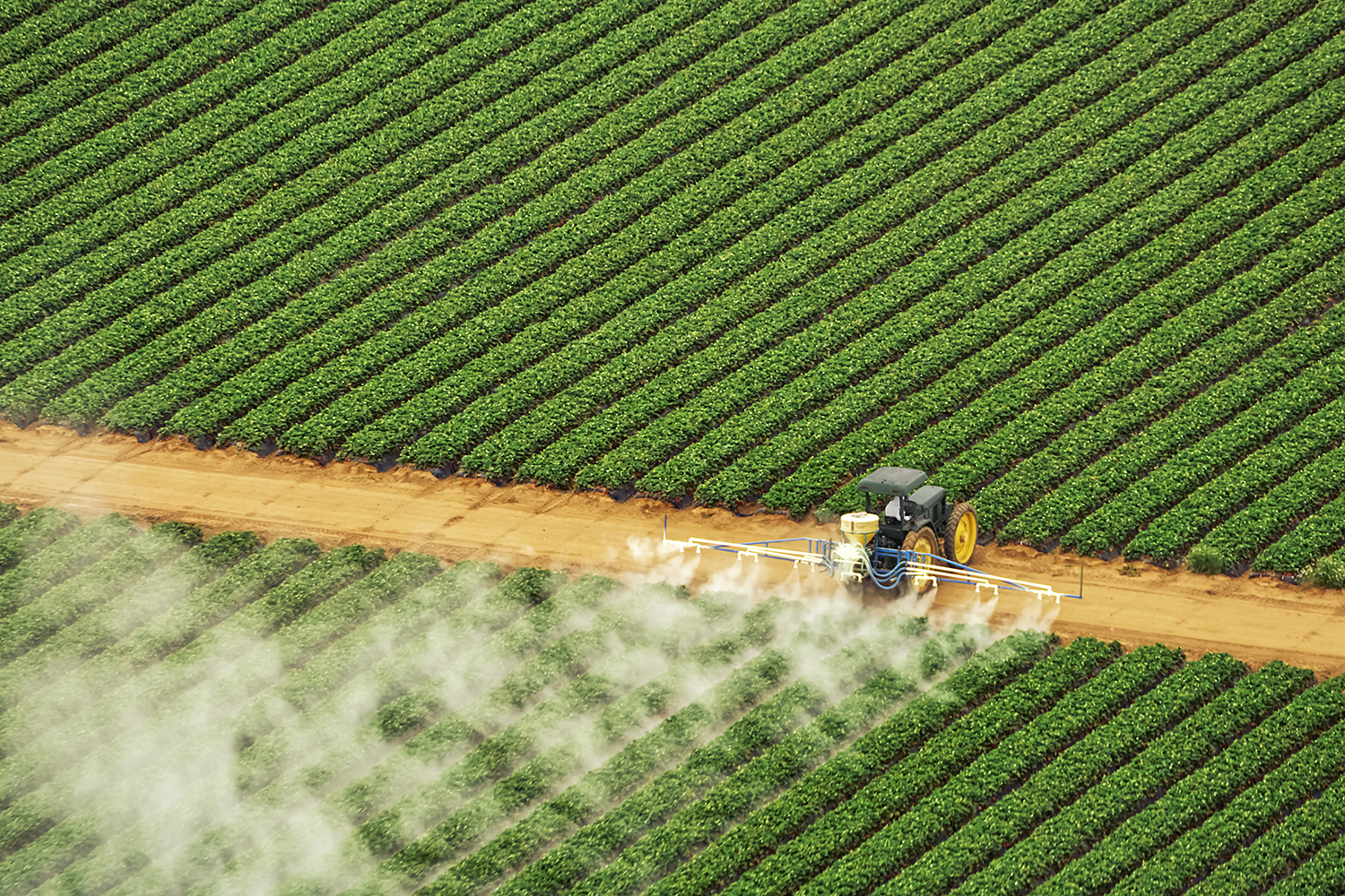fertilizer prices