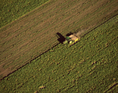 farm business growth