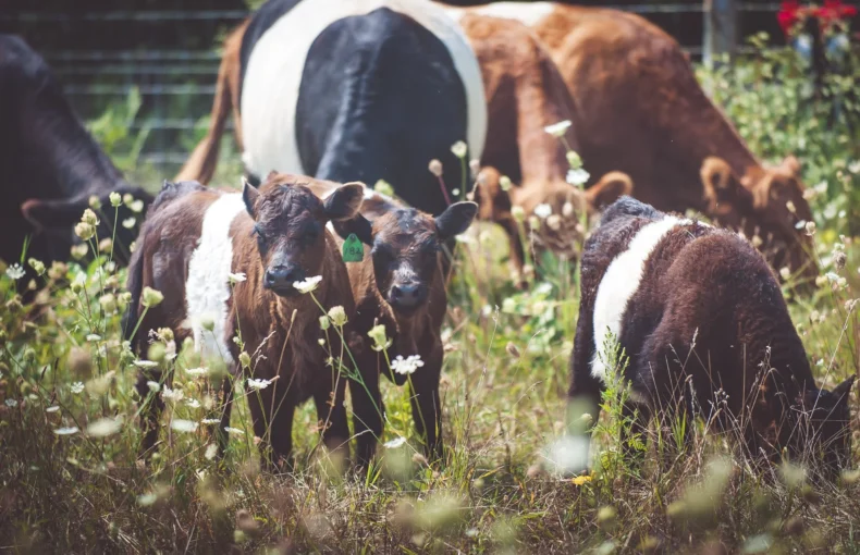 next generation farmers