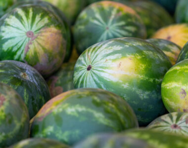 pick watermelon