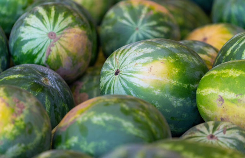 pick watermelon