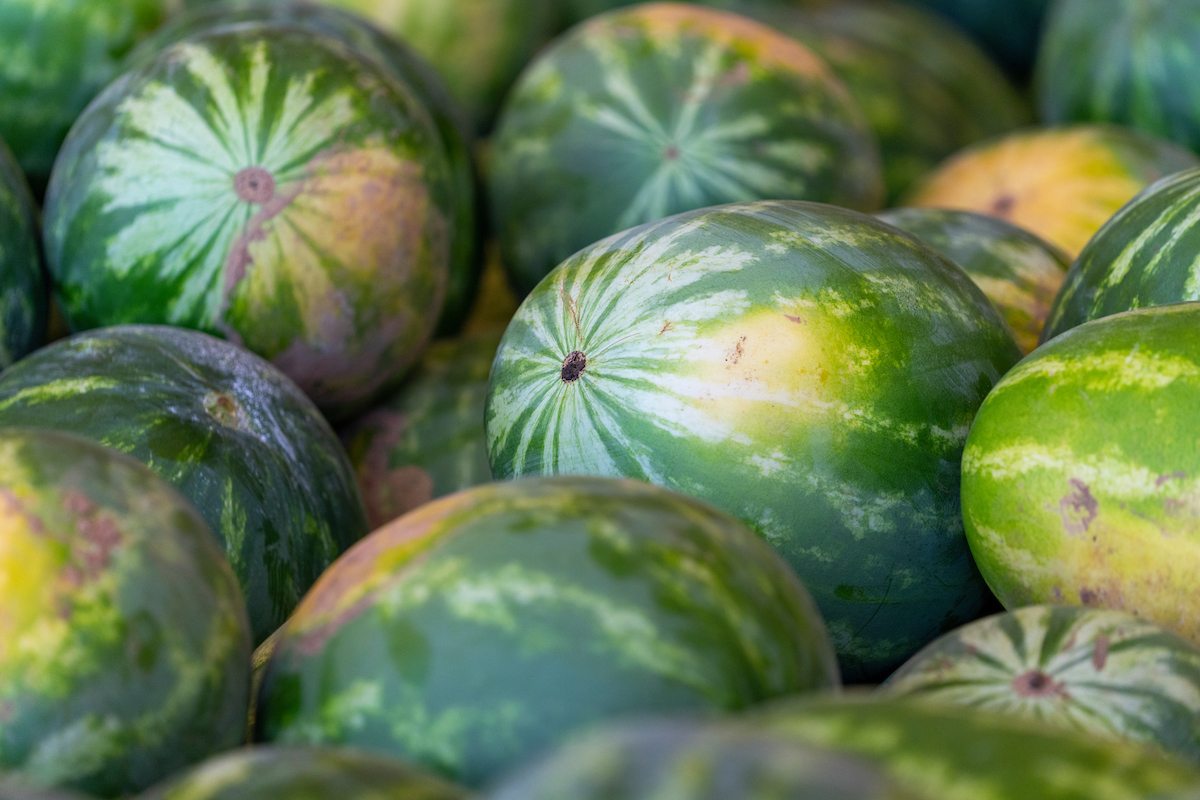 pick watermelon
